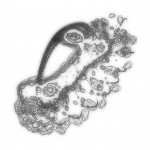 A Day in Asia 202111242010