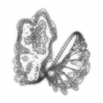 A Day in Asia 202111250633