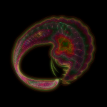 A Day in Asia 202111260548