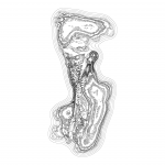 A Day in Asia 202111271144