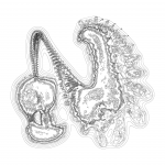 A Day in Asia 202111280025