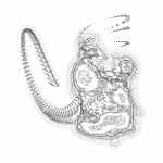 A Day in Asia 202111280231