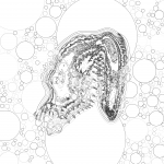 Asia with Bubble-Standard 202112010334