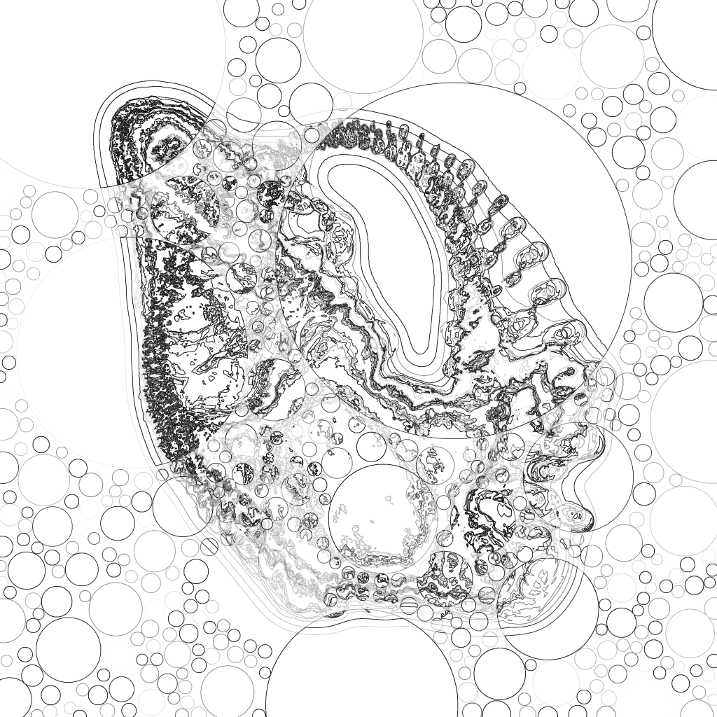 Asia with Bubble-Standard 202112011648