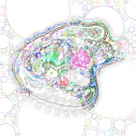 Asia with Bubble-Standard 202112021241