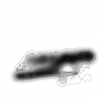 Just alive (with no particular aim) 20211019