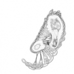 Just alive (with no particular aim) 20210720