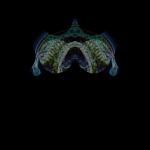 Just alive (with no particular aim) 20210813 CompoundDigitalMicroscope version