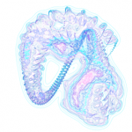 Just alive (with no particular aim) 20210818