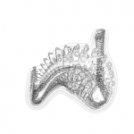 Just alive (with no particular aim) 20210820