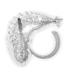 Just alive (with no particular aim) 20210827