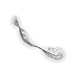 Just alive (with no particular aim) 20210828