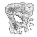 Just alive (with no particular aim) 20210830