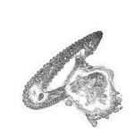 Just alive (with no particular aim) 20210902