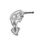 Just alive (with no particular aim) 20210903