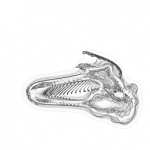 Just alive (with no particular aim) 20210904