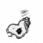 Just alive (with no particular aim) 20210905