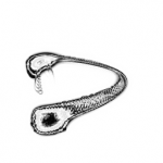 Just alive (with no particular aim) 20210907