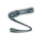 Just alive (with no particular aim) 20210909