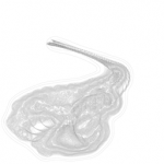 Just alive (with no particular aim) 20210912