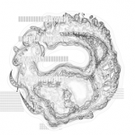 Just alive (with no particular aim) 20210921