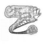 Just alive (with no particular aim) 20210922