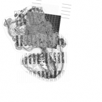 Just alive (with no particular aim) 20210923