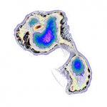 Just alive (with no particular aim) 20210924