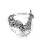 Just alive (with no particular aim) 20210927