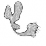 Just alive (with no particular aim) 20210930