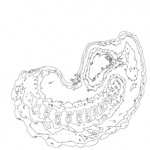 Just alive (with no particular aim) 20211011