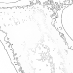 Just alive (with no particular aim) 20211022