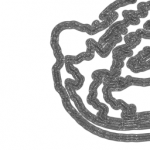 Just alive (with no particular aim) 20211103