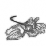 Just alive (with no particular aim) 20211123