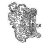 Just alive (with no particular aim) 20211126