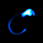 Noctilucasia #1-24