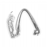 A Day in Asia 202112051537