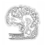 A Day in Asia 202112051719