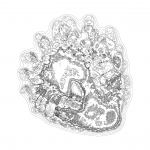 A Day in Asia 202112060535