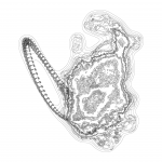 A Day in Asia 202112062244