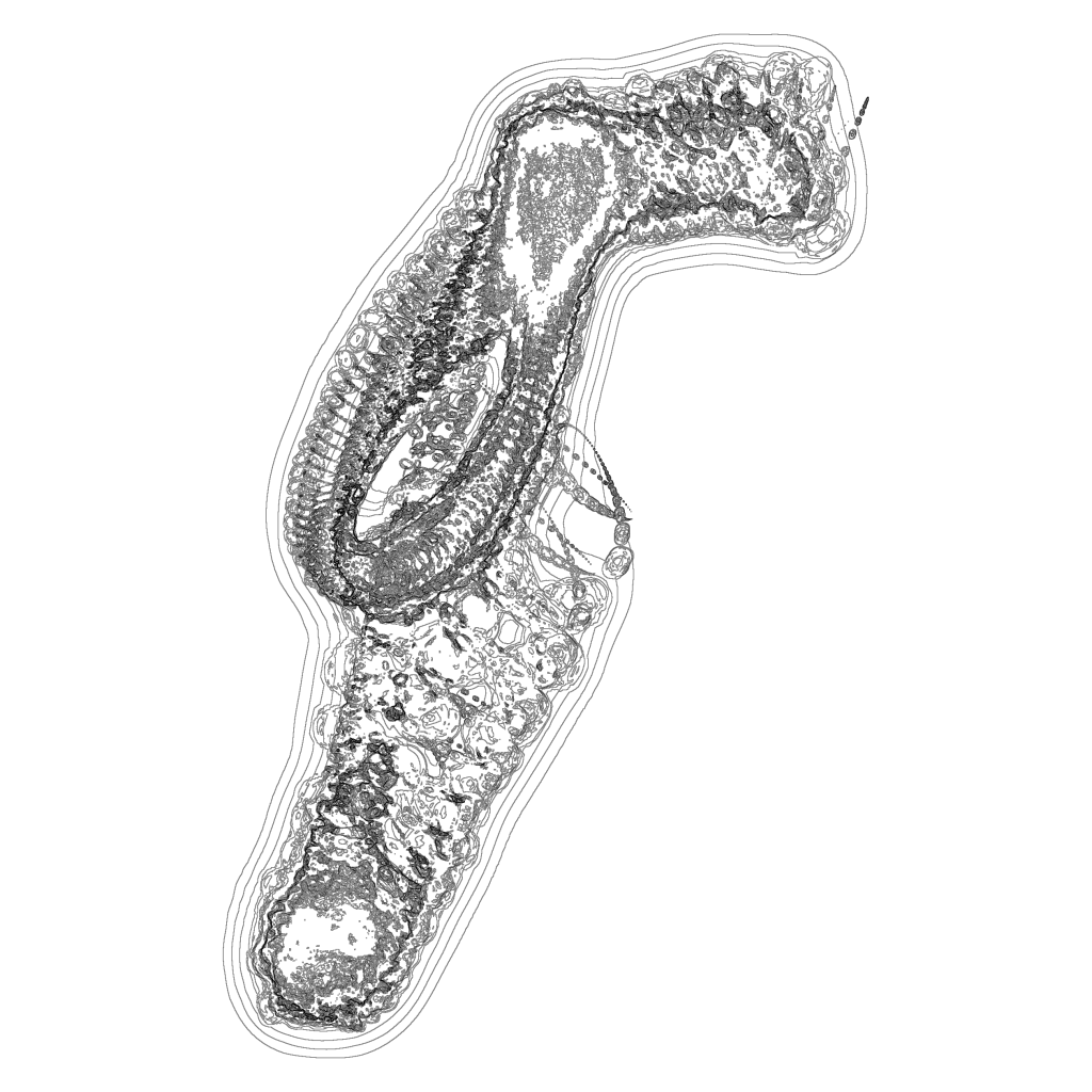 A Day in Asia 202112071448