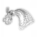 A Day in Asia 202112071655