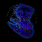 A Day in Asia 202112080144