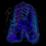 A Day in Asia 202112080226