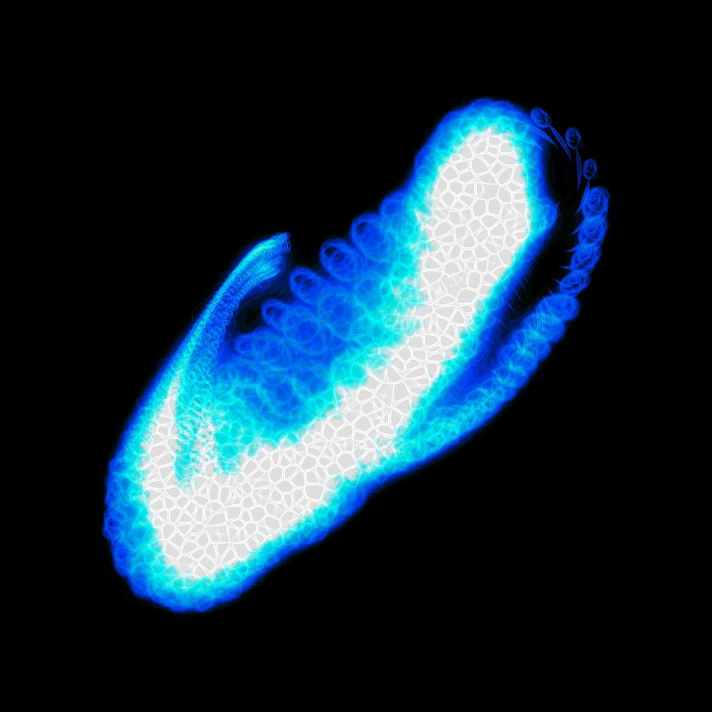 A Day in Asia 202112240122