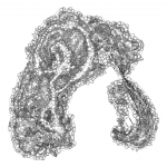 A Day in Asia 202112250045