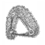 A Day in Asia 202112251445