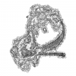 A Day in Asia 202112251828