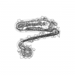 A Day in Asia 202112261405