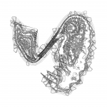 A Day in Asia 202112261651